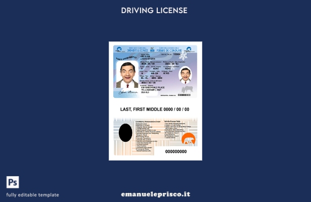 verified style modello di patente di guida Canada Northwest Territories in stile verificato template